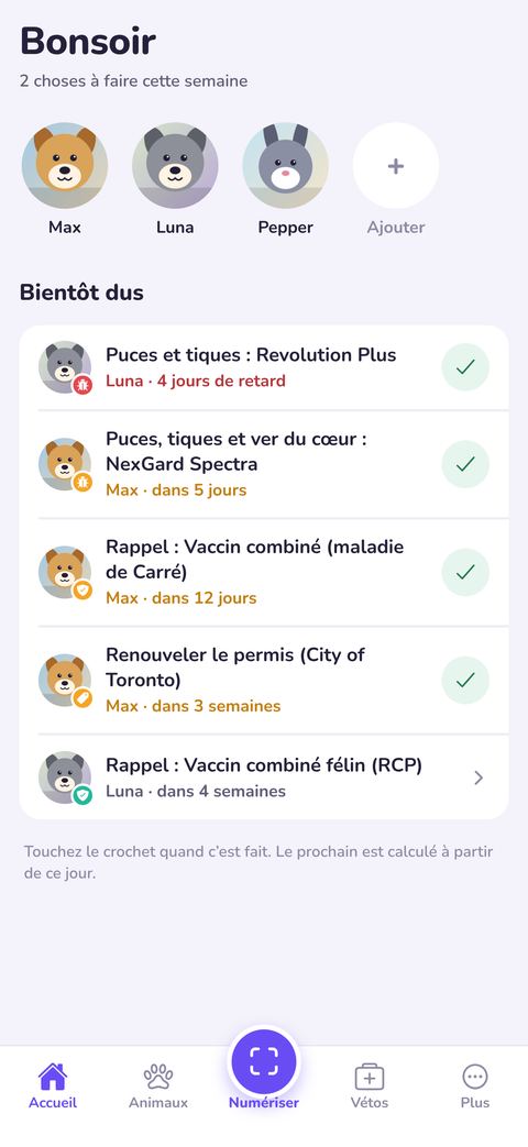 Écran d’accueil de Truffe avec les rappels de Max, Luna et Pepper